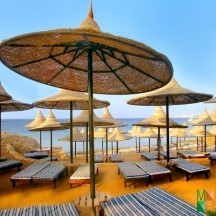 Tranh dán tường 3d kích thước lớn tại hà nội BE - 088